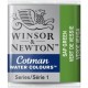 COTMAN SAP GREEN